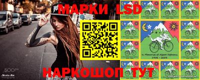 шишки Будённовск