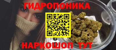 шишки Будённовск