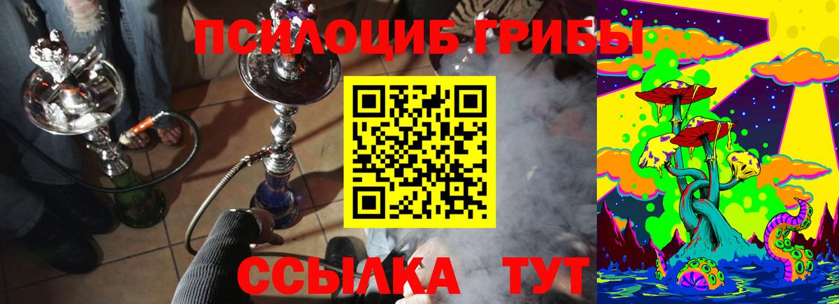 где купить наркоту  Вход с VPN  Кулебаки  Псилоцибиновые грибы MAGIC MUSHROOMS 